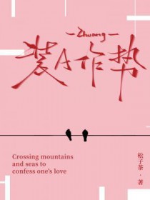 装a失败