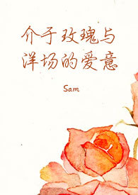 《介于玫瑰与洋场的爱意》小说